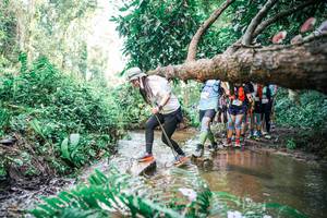 BIB: 
                            <button type="button" onclick="openModal(25514436)" class="btn btn-primary btn-sm float-right btn-popup" data-toggle="modal" data-target=".modal-high-quality">
                        <i class="fas fa-shopping-cart"></i> Add to Cart
                    </button>
                                            <button type="button" onclick="isThisMe(25514436, true)" class="btn btn-success btn-sm float-right btn-popup btn-isme hidden" data-toggle="tooltip" data-placement="bottom" title="นี่คือรูปของคุณใช่ไหม คลิกที่นี่เพื่อเอาเข้าอัลบั้ม">
                        <i class="fas fa-plus"></i> Add to album
                    </button>
                    <button type="button" onclick="isThisMe(25514436, false)" class="btn btn-warning btn-sm float-right btn-popup btn-isnotme hidden">
                        <i class="fas fa-ban"></i> Remove from album
                    </button>